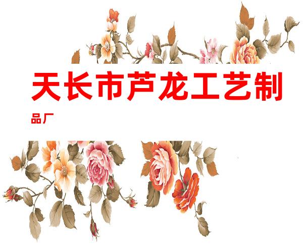 天长市芦龙工艺制品厂
